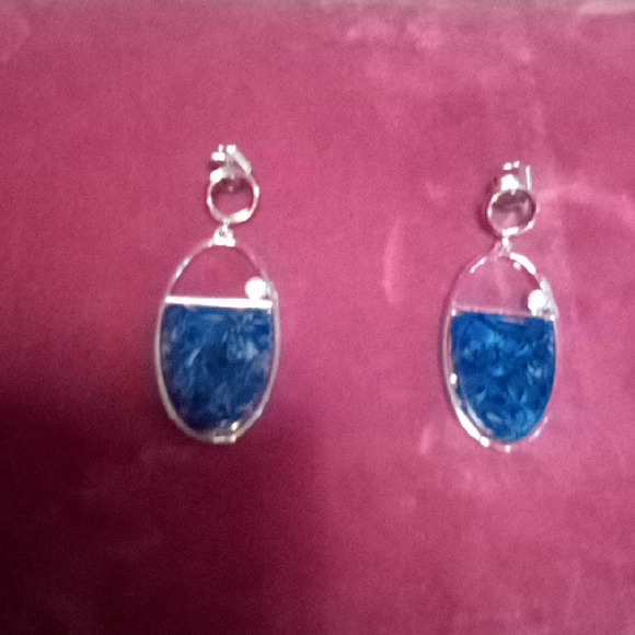 Elegant Blue and Silver Earrings - Picture 1 of 3